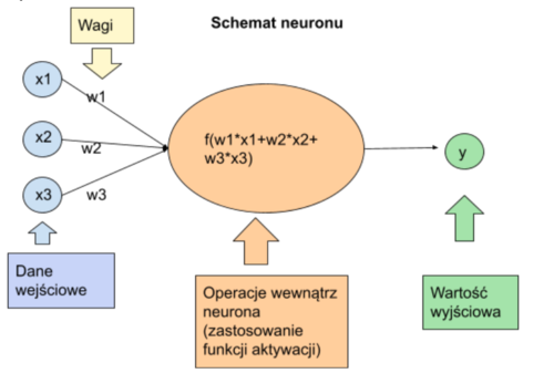 Schemat neuronu: trzy dane wejściowe x1, x2, x3 wchodzą do neuronu z wagami w1, w2, w3. Wewnątrz neuronu obliczana jest funkcja aktywacji f(w1·x1 + w2·x2 + w3·x3), a na wyjściu pojawia się wartość y
